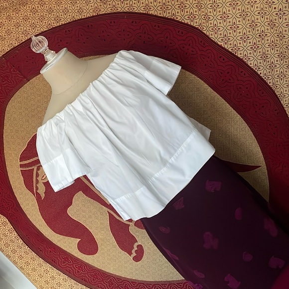 Like new Animale off the shoulder crop top - Picture 1 of 8